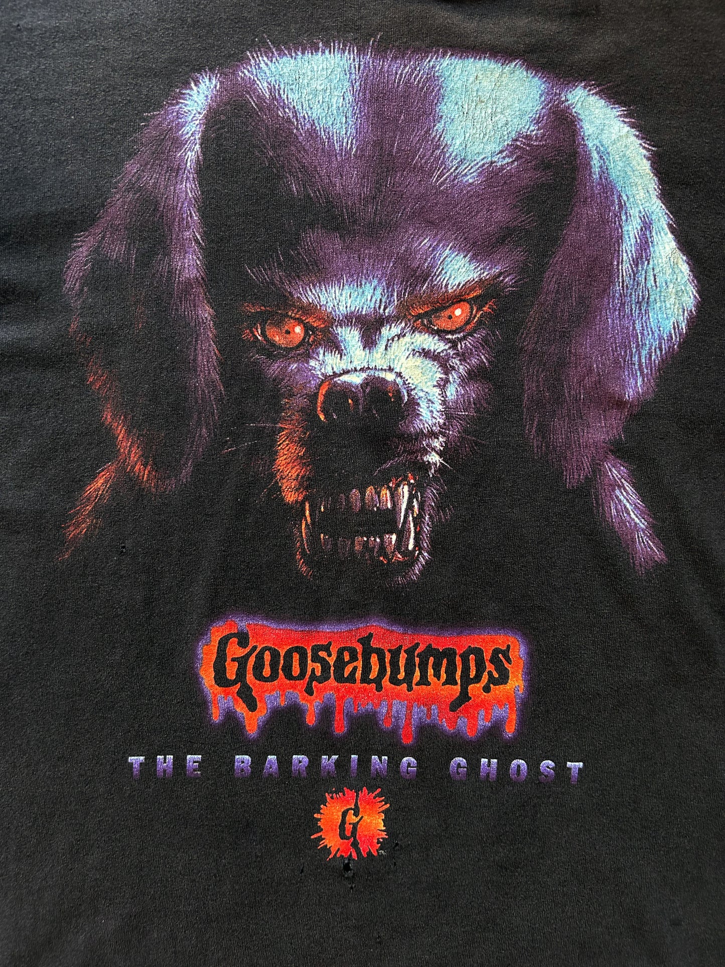 1990’s Vintage Goosebump Tee