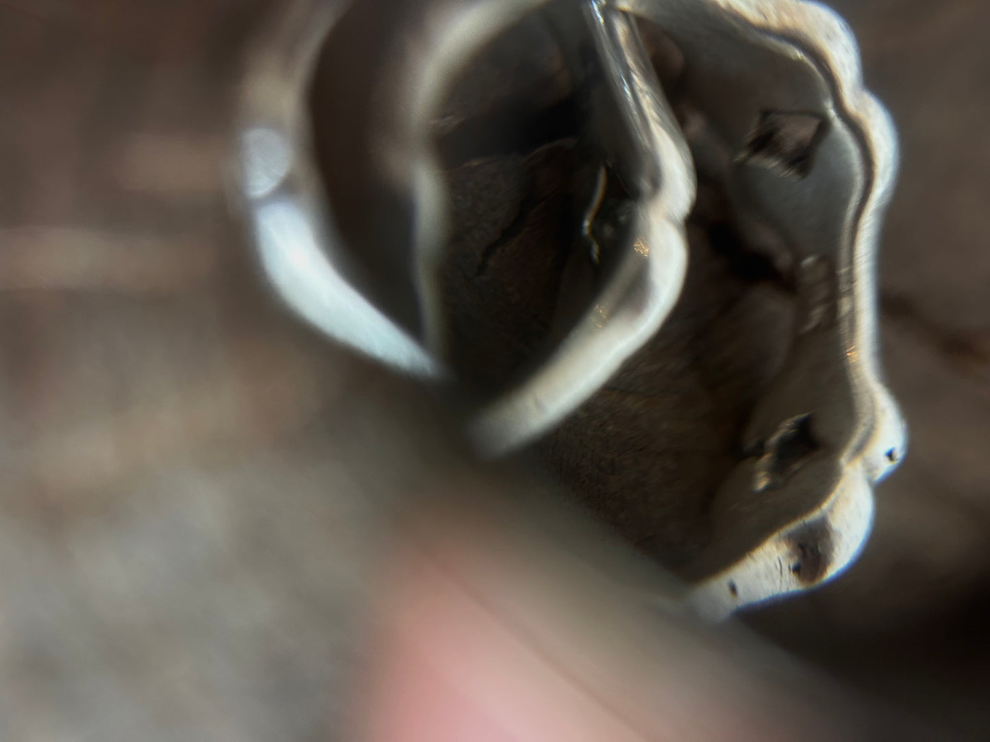 Vintage Silver 925 Bone Link Double Rings